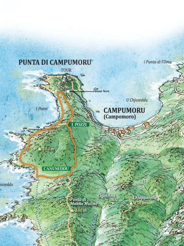 Carte Canuseddu Ok