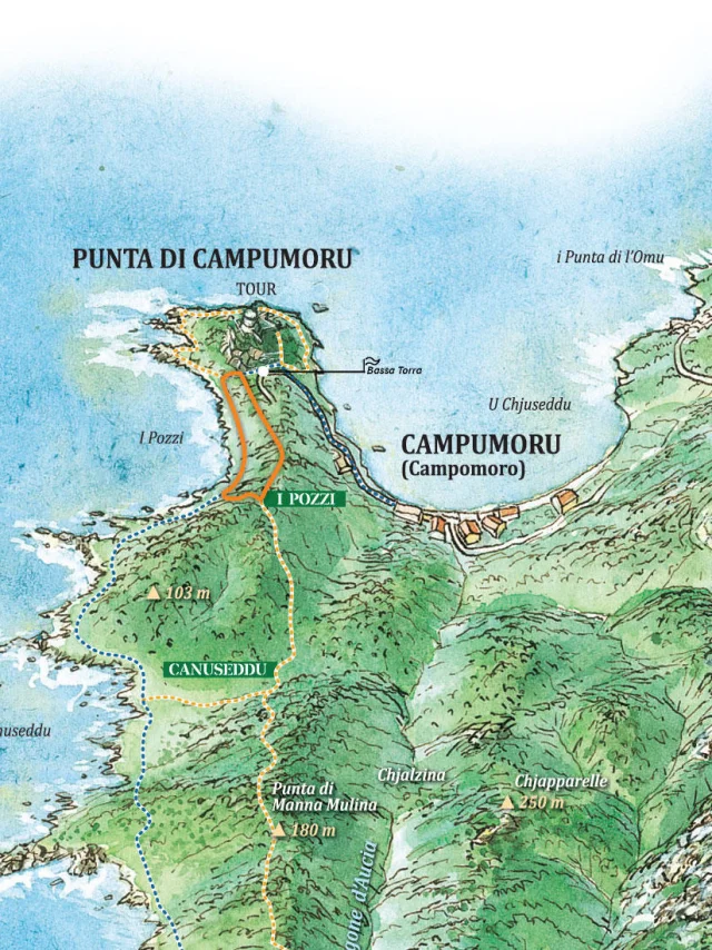 Carte Pozzi Ok 3