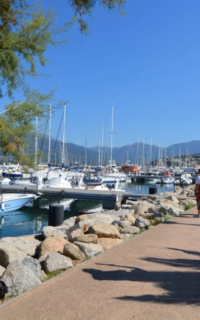 Port propriano