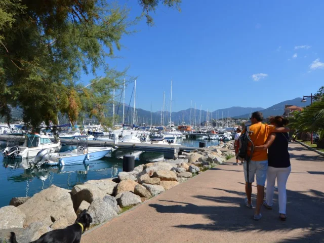 Port propriano