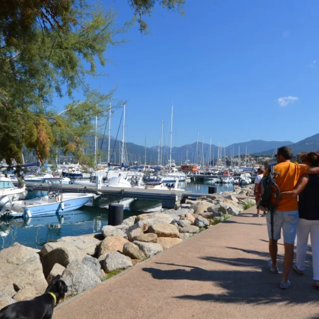 Port propriano