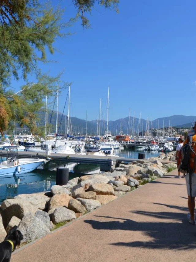 Port propriano