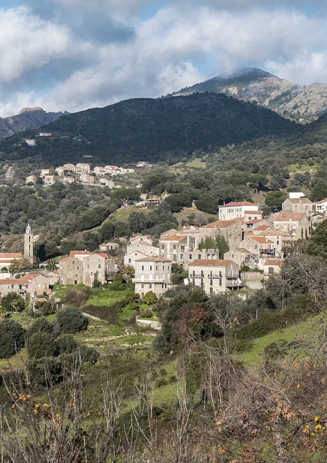 Fozzano & Sainte Marie Figanellia