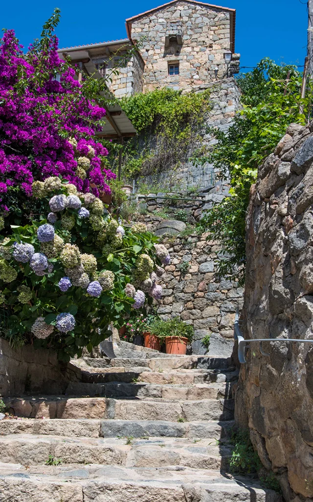 Les ruelles d'Olmeto