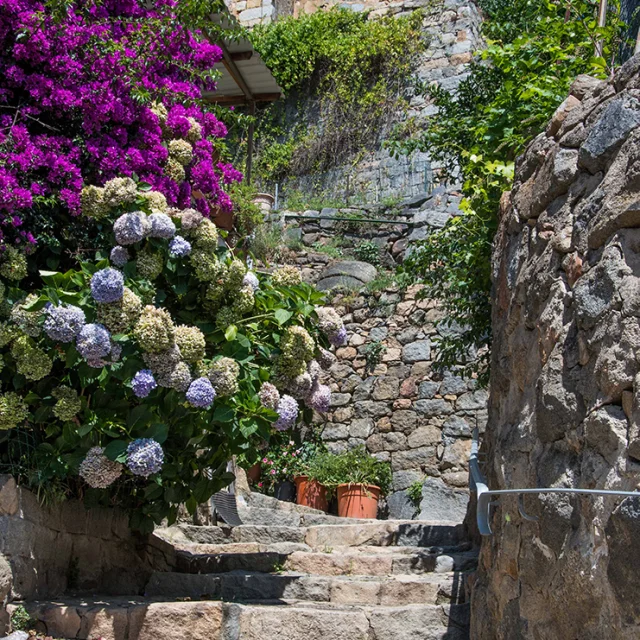 Les ruelles d'Olmeto