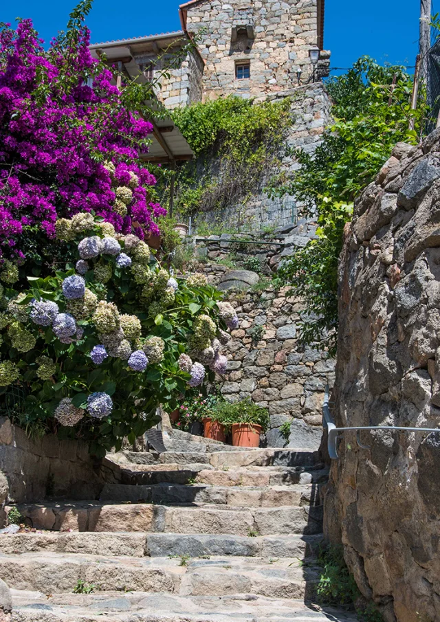 Les ruelles fleuries d'Olmeto