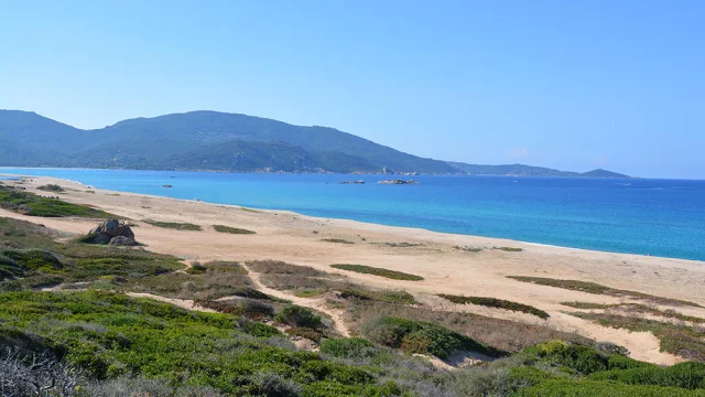 La plage sauvage et préservée de Capu Lauroso à Propriano