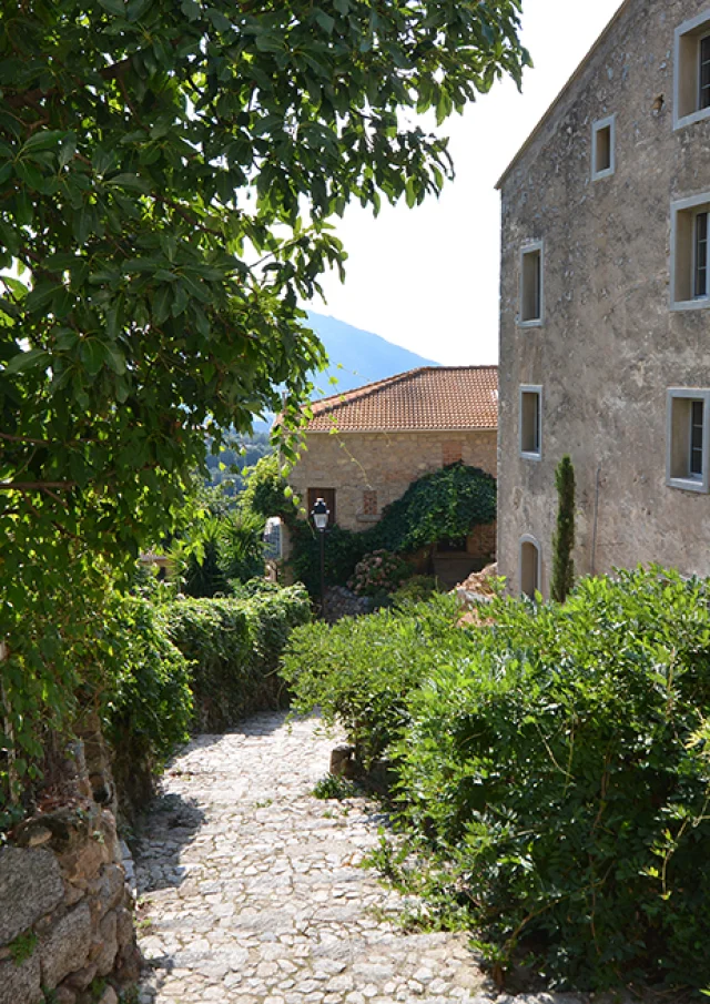 Fozzano