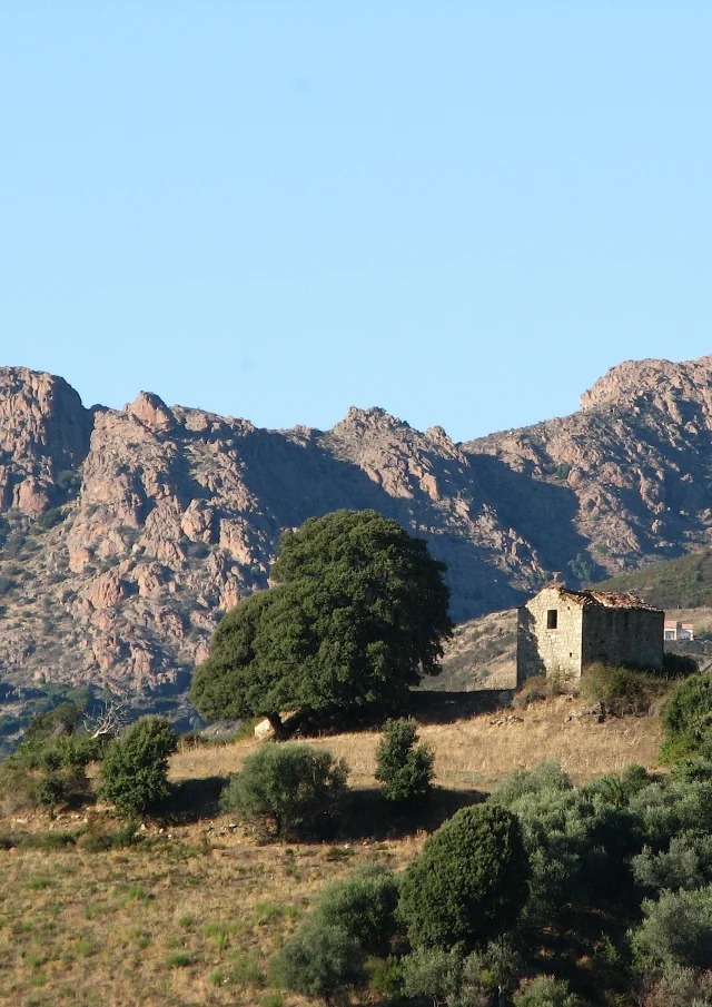 Vue de Sainte Marie Figanellia