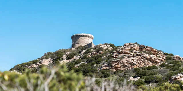 Tour de Campomoro