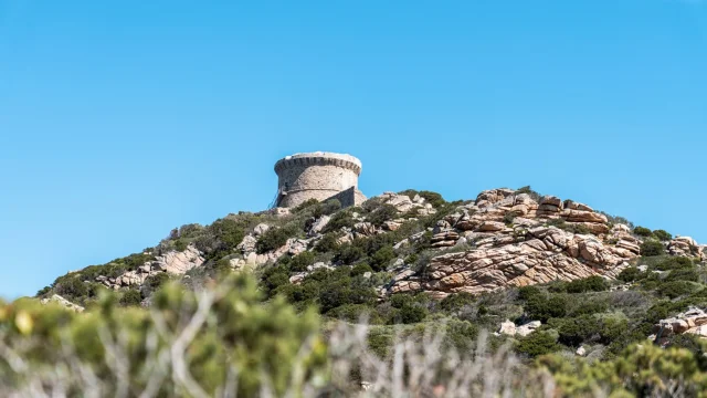 Tour de Campomoro