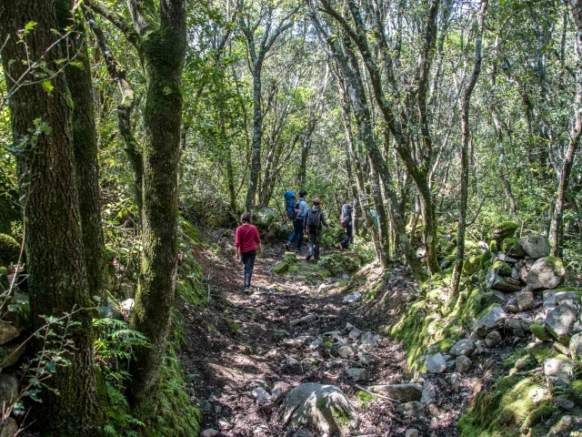 Sentier de Giuncheto