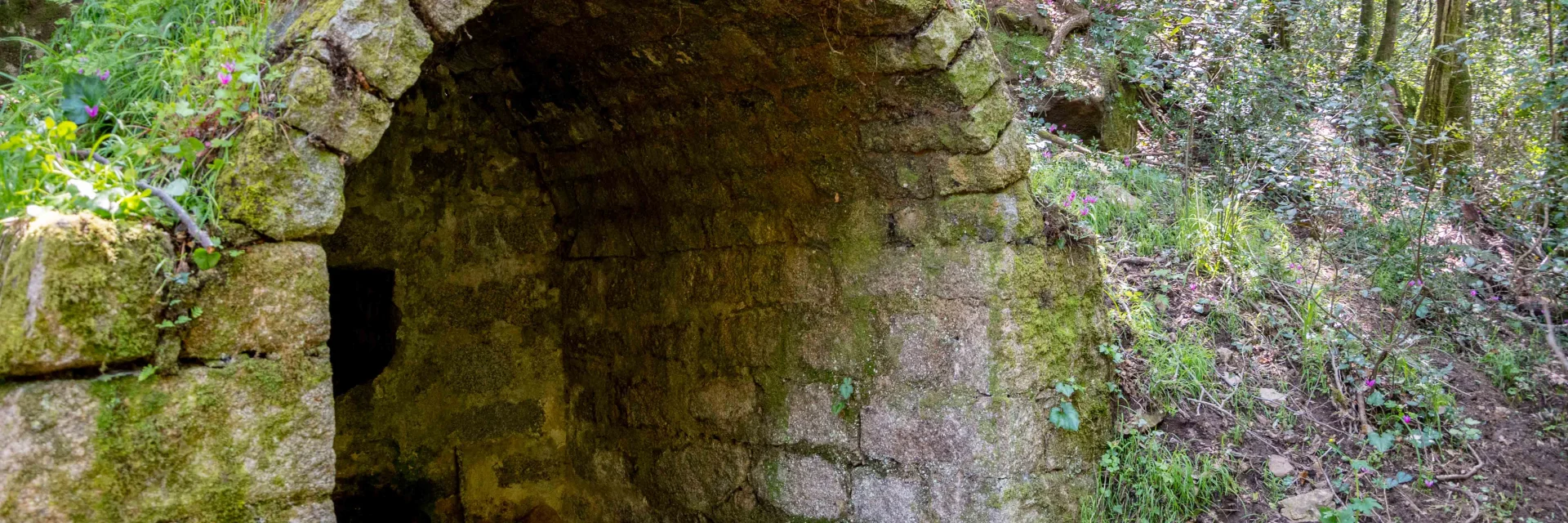 Sentier giuncheto Jpeg 15