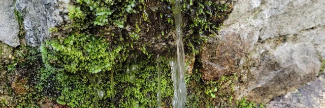 20220912 105010 Rotated