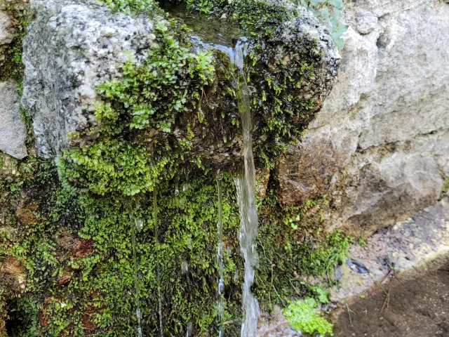 20220912 105010 Rotated