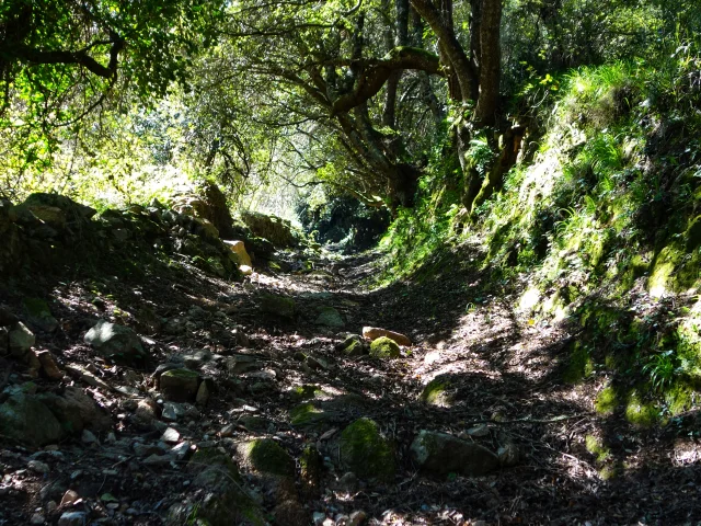 Col de suara sartène