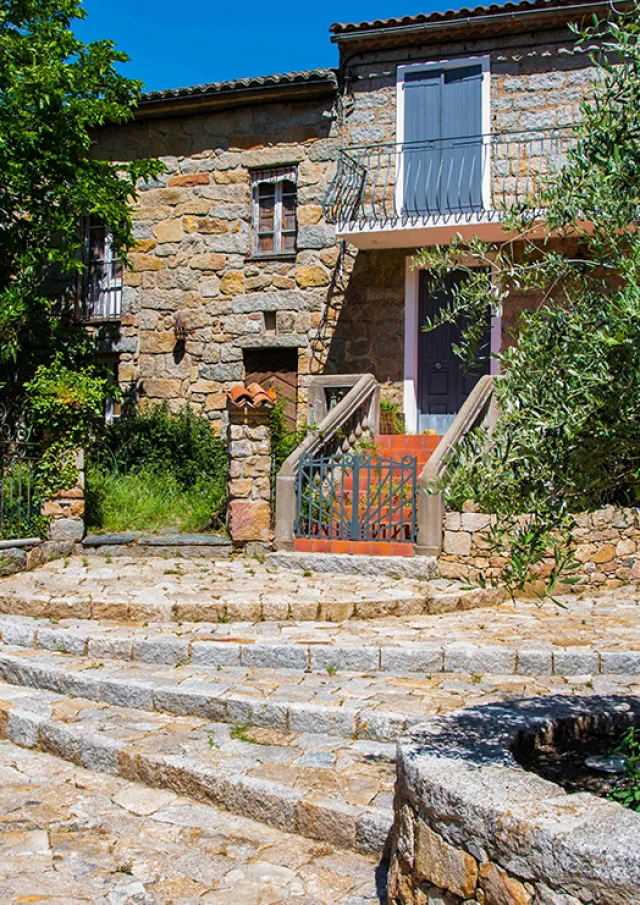 Dl Bd Ld Argiusta Jpeg 11