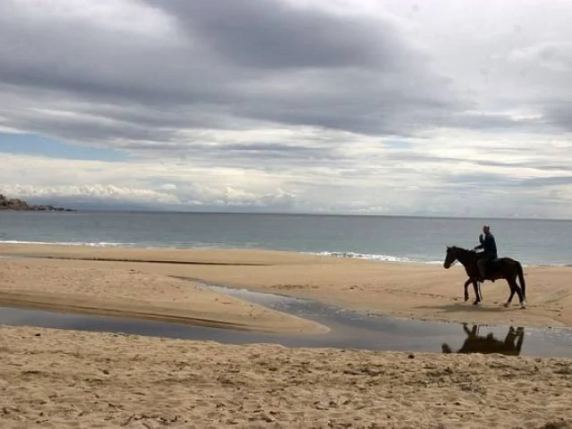 Balade à cheval sur le plage Capu Lauroso - Propriano