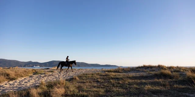 S Sportif Plage De Tenutella Atc Sylvain Alessandri 3 Copie