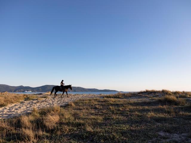 Plage De Tenutella - Olmeto