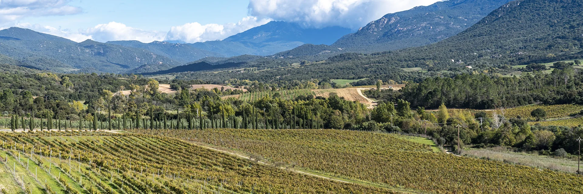 Castellu Di Baricci