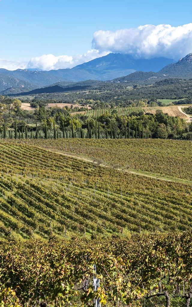 Castellu Di Baricci