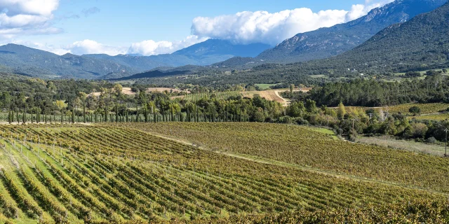 Castellu Di Baricci