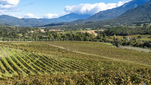 Castellu Di Baricci