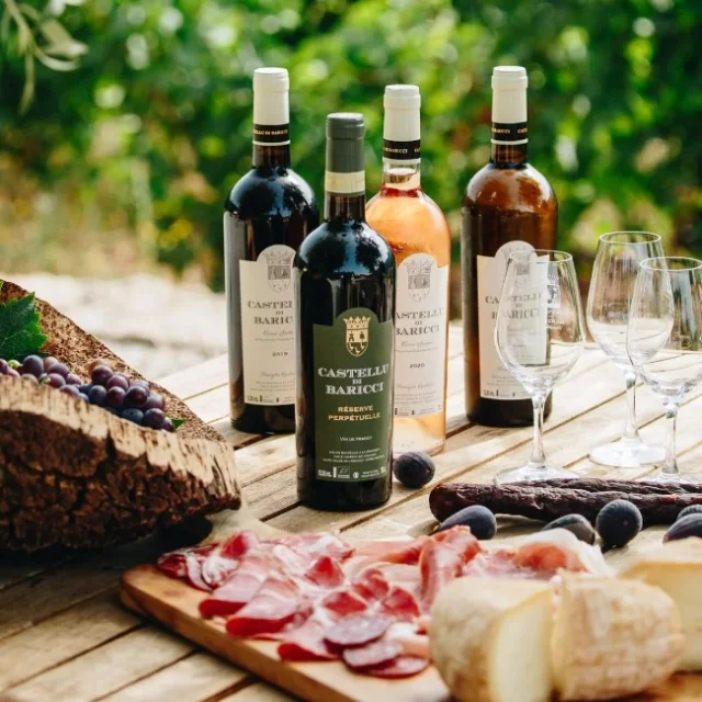 Dégustation de vin & de produits du terroir au domaine Castellu Di Baricci