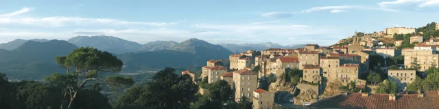 Sartenais 01