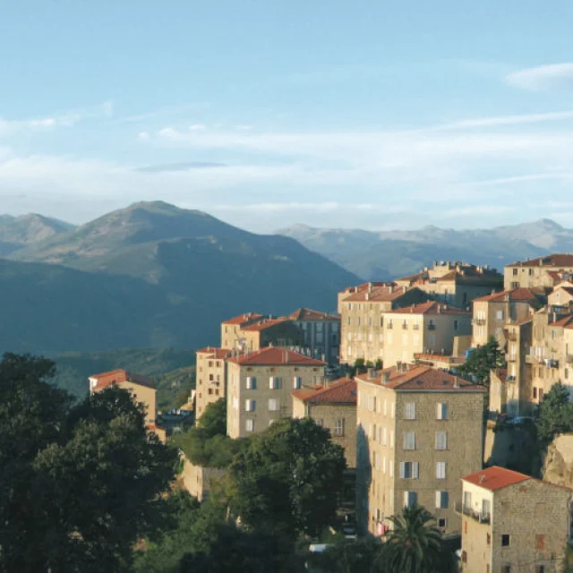 Sartenais 01