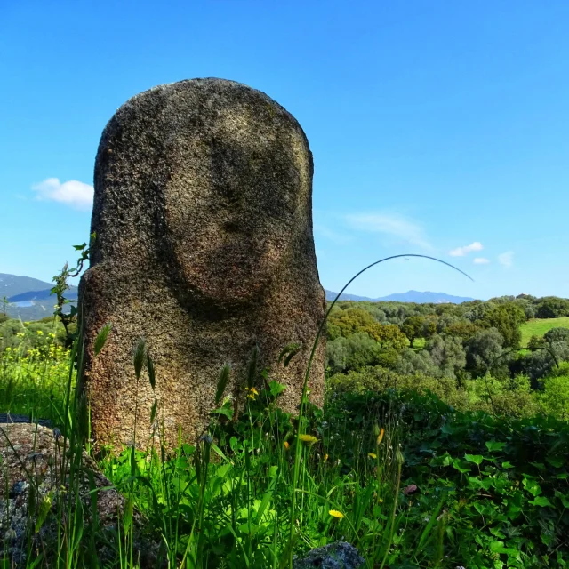 Archeo website