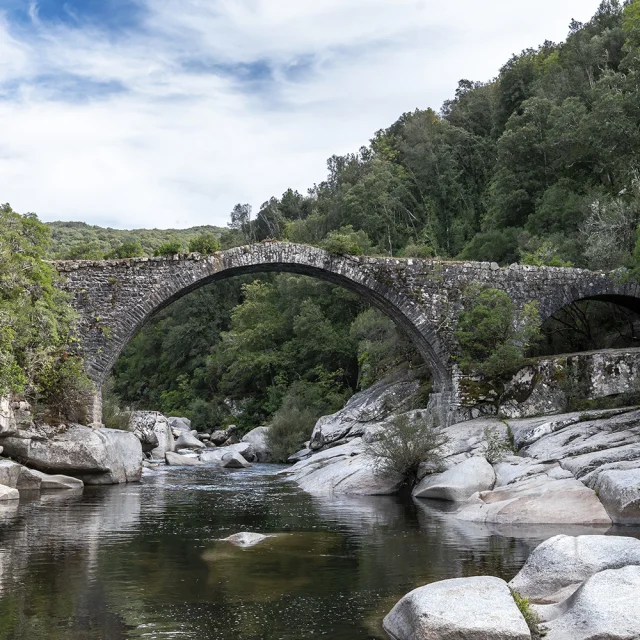 02 Dabra Bridge
