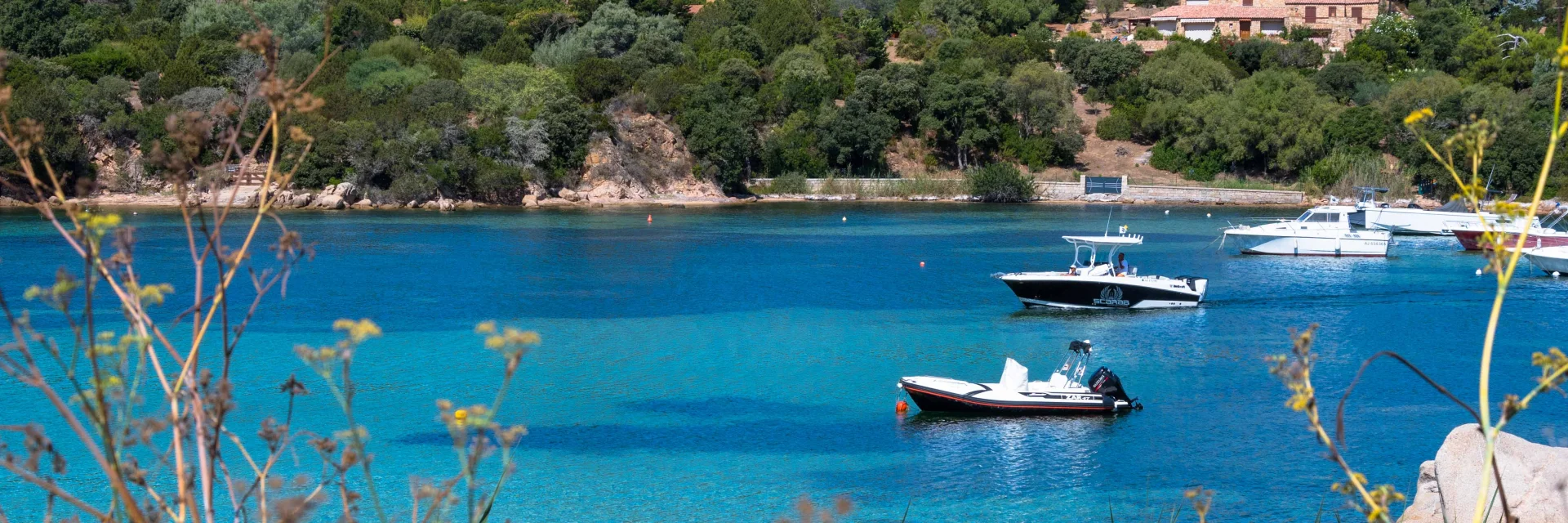Le port de plaisance tizzano