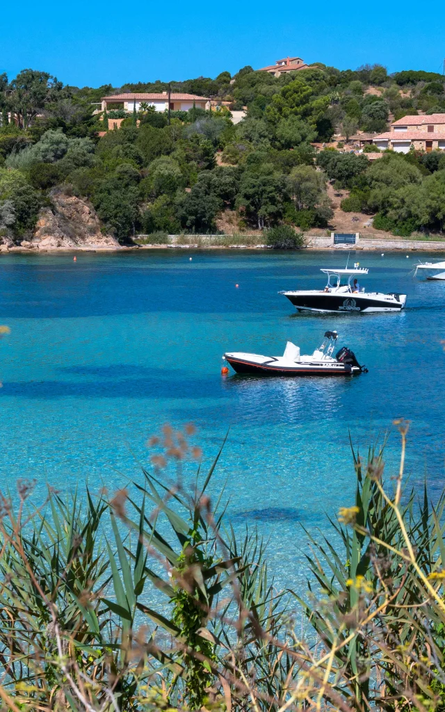 Le port de plaisance tizzano