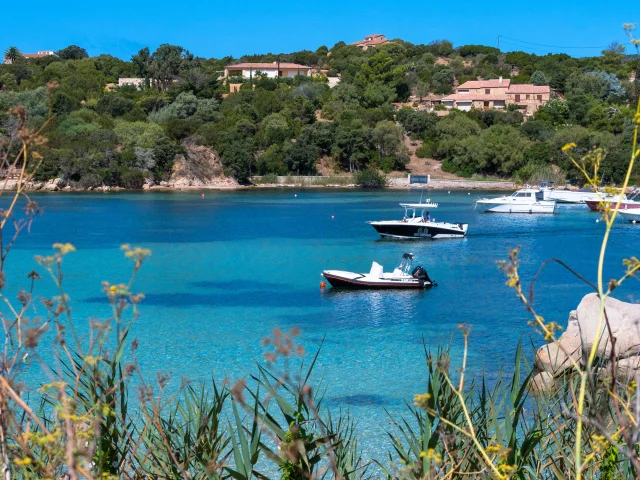 Le port de plaisance tizzano