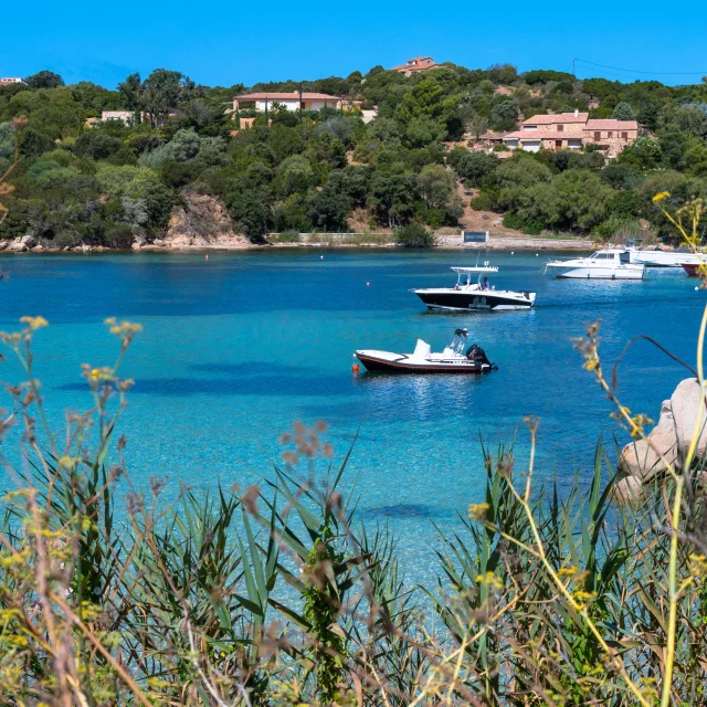 Le port de plaisance tizzano