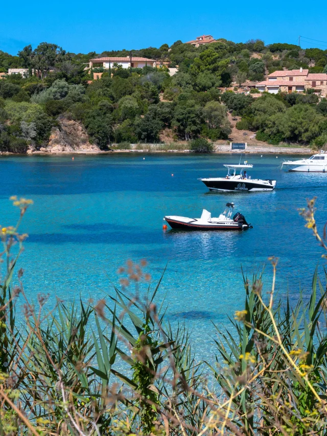 Le port de plaisance tizzano