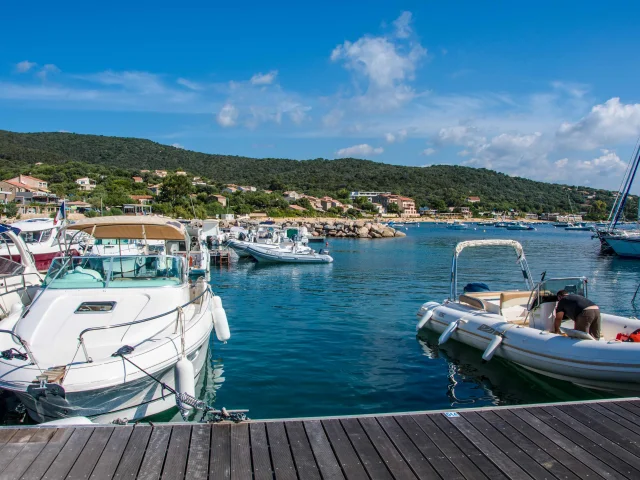 Porto pollo