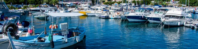 Porto pollo