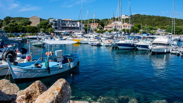 Porto pollo