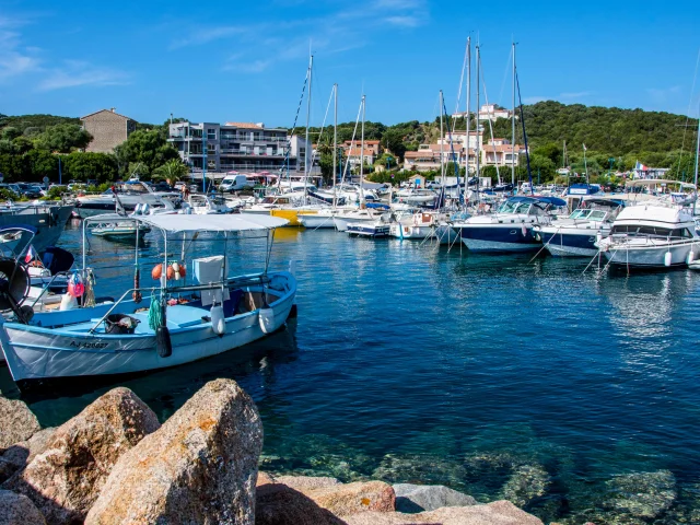 Porto pollo
