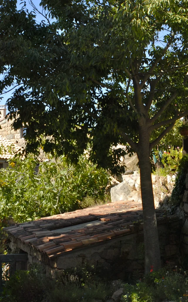 Bilia