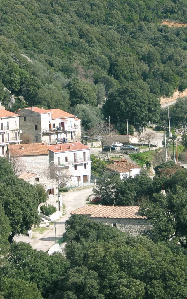 Bilzese