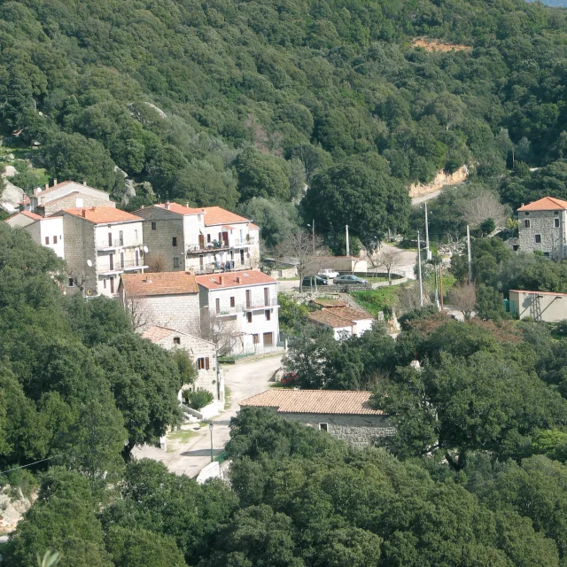Jjc Hd Bilzese 02 Jpeg