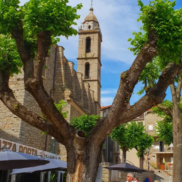 Eglise de Sartène