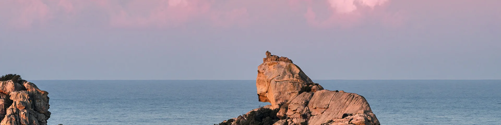 Le Lion Roccapina