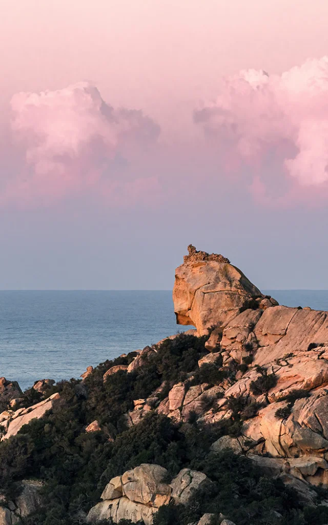 Le Lion Roccapina