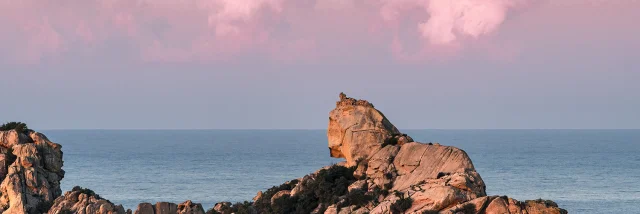 Le Lion Roccapina