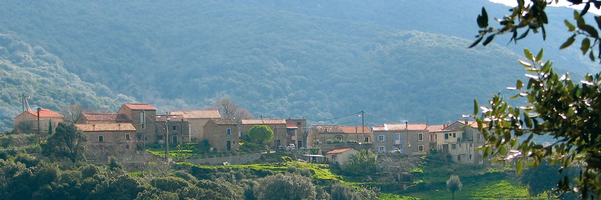 Jjc Hd Granacce 02 Jpeg
